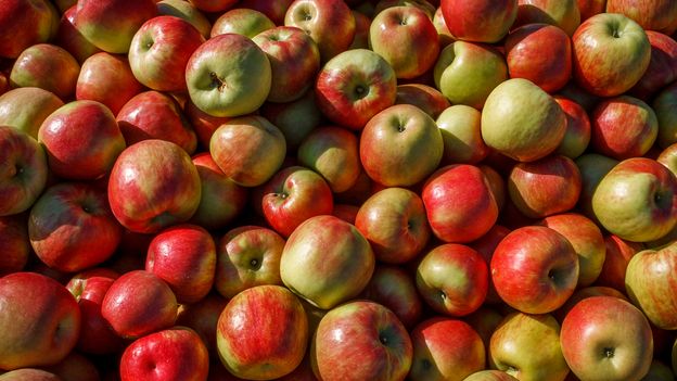 apple-a-day-myth-or-health-miracle-