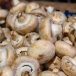 breakthrough-in-composting-method-boosts-crop-growth