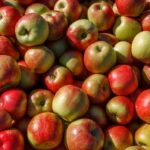 do-apples-truly-keep-the-doctor-away-exploring-the-health-claims