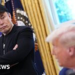 elon-musk-expresses-regret-over-trump-related-posts