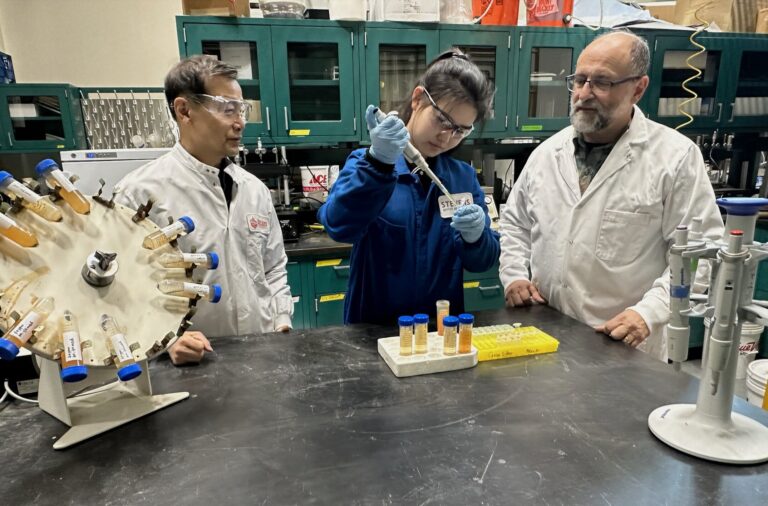 iron-powder-surpasses-carbon-in-pfos-removal-study-shows
