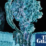 metabolic-syndrome-understanding-the-health-risks