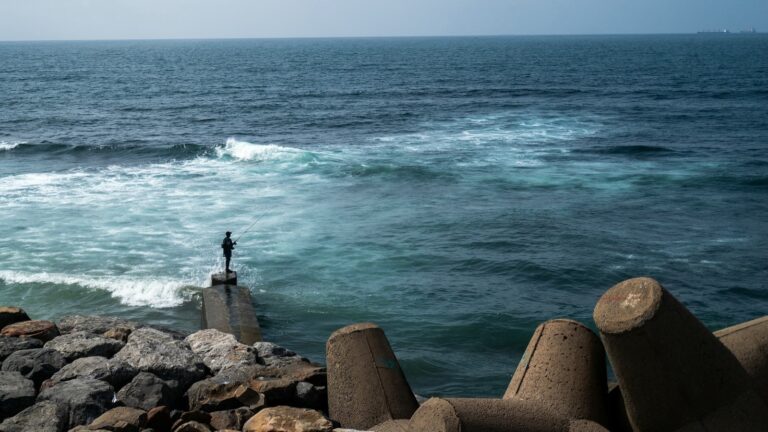 oceans-changing-colors-what-new-research-reveals