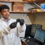 podila-honored-as-fellow-of-the-institute-of-physics