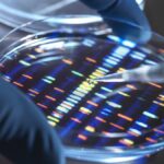 scientists-warn-of-ethical-risks-in-lab-made-human-dna-project