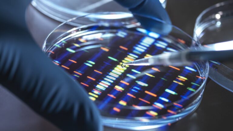 scientists-warn-of-ethical-risks-in-lab-made-human-dna-project
