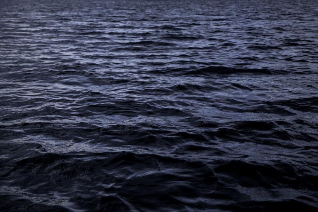 the-ocean-s-dimming-a-threat-to-marine-ecosystems
