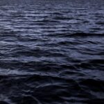 the-ocean-s-dimming-a-threat-to-marine-ecosystems