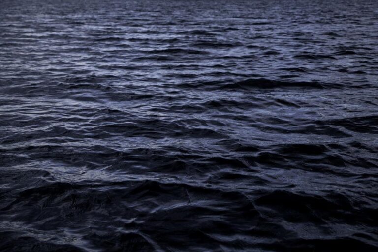 the-ocean-s-dimming-a-threat-to-marine-ecosystems