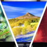 top-3-tvs-of-2025-oled-and-mini-led-models-shine