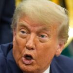 trump-s-dear-mr-japan-comment-sparks-outrage-and-confusion