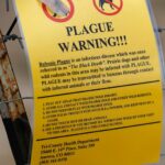 arizona-resident-dies-from-pneumonic-plague-first-death-in-20-years