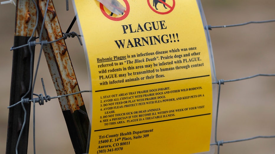 arizona-resident-dies-of-pneumonic-plague-first-death-in-20-years