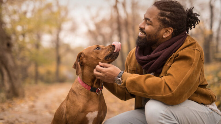 barkbox-faces-delisting-as-losses-mount-amid-pet-spending-scrutiny