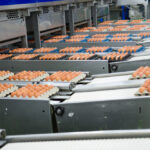 cal-maine-foods-expands-portfolio-with-258m-echo-lake-acquisition