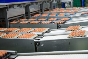 cal-maine-foods-expands-portfolio-with-258m-echo-lake-acquisition