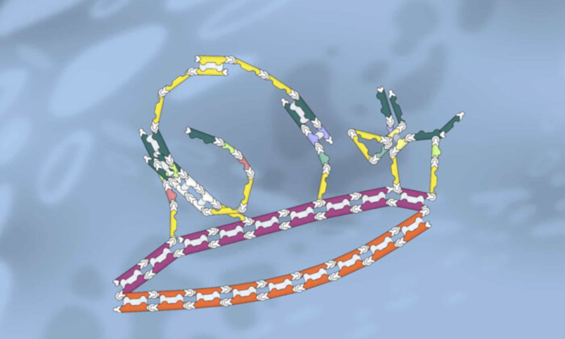 citizen-scientists-use-games-to-advance-cancer-research