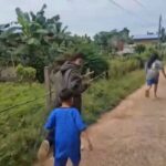 civilians-flee-as-gunfire-erupts-on-thailand-cambodia-border