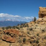 discover-ancient-fossils-on-tours-of-corral-bluffs-in-colorado