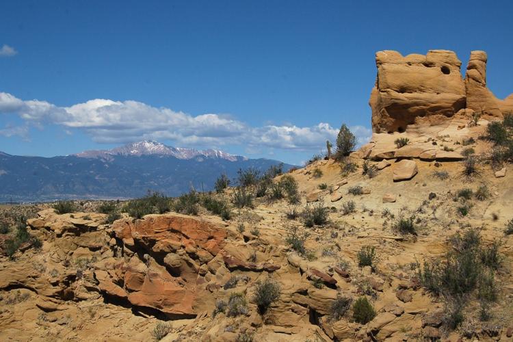 discover-ancient-fossils-on-tours-of-corral-bluffs-in-colorado