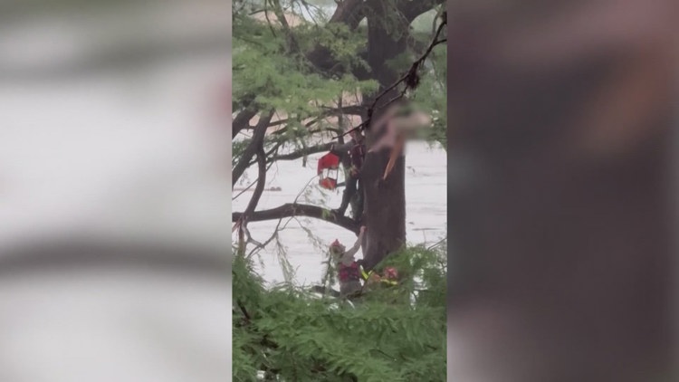 flood-rescue-sparks-lasting-bonds-between-two-grieving-families