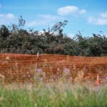 free-wood-chips-available-at-target-debris-site-starting-july-28