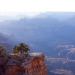 grand-canyon-north-rim-closed-until-2026-amid-devastating-fire