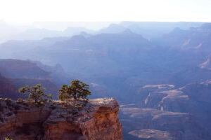 grand-canyon-north-rim-closed-until-2026-amid-devastating-fire