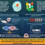 japanese-scientists-unveil-gene-signature-for-liver-ferroptosis