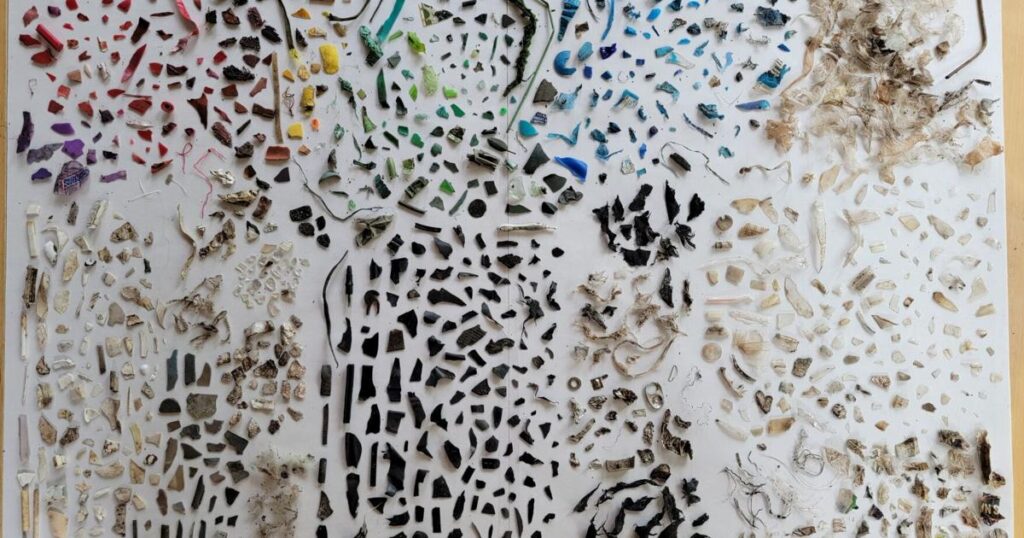 lincoln-gardener-faces-microplastics-pollution-crisis-in-soil