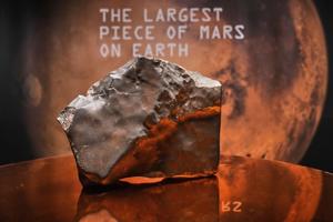 mars-meteorite-sells-for-5-3-million-young-dinosaur-takes-spotlight