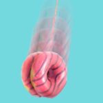new-study-reveals-fad-diets-may-alter-brain-gut-health
