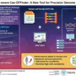 new-web-based-tool-enhances-crispr-precision-by-addressing-genetic-variations