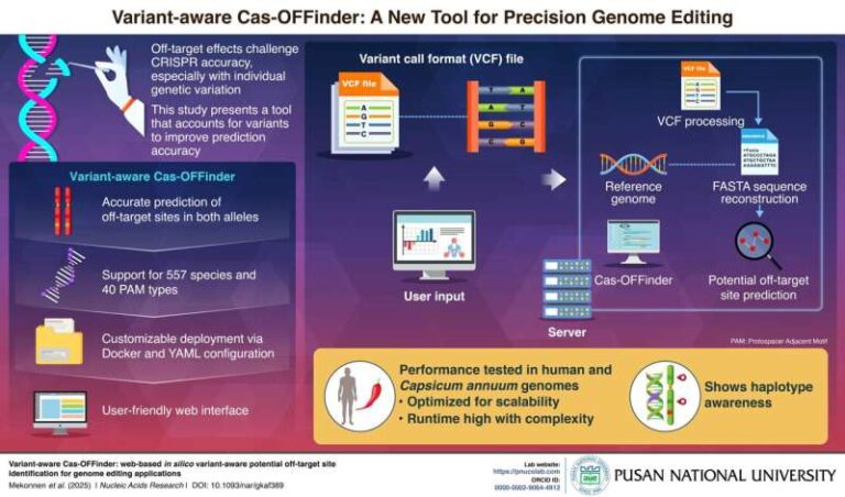 new-web-based-tool-enhances-crispr-precision-by-addressing-genetic-variations