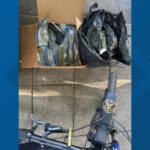 portland-police-arrest-two-after-seizing-14-pounds-of-cannabis