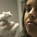 promising-alternatives-to-animal-research-still-require-development