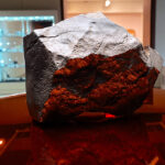 Rare juvenile Ceratosaurus skeleton and the largest Martian meteorite are on view for the first time