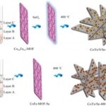researchers-develop-efficient-selenium-containing-electrocatalysts-for-water-splitting