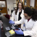 researchers-explore-probiotics-to-replace-formaldehyde-in-poultry-hatcheries