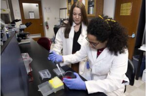 researchers-explore-probiotics-to-replace-formaldehyde-in-poultry-hatcheries