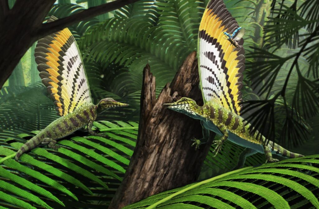 researchers-uncover-unique-communication-tool-in-ancient-reptile
