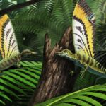 researchers-uncover-unique-communication-tool-in-ancient-reptile