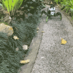 revolutionary-sensor-technology-could-transform-robotic-vision