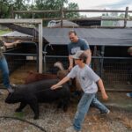 schuylkill-county-fair-sparks-excitement-at-evergreen-acres-farm