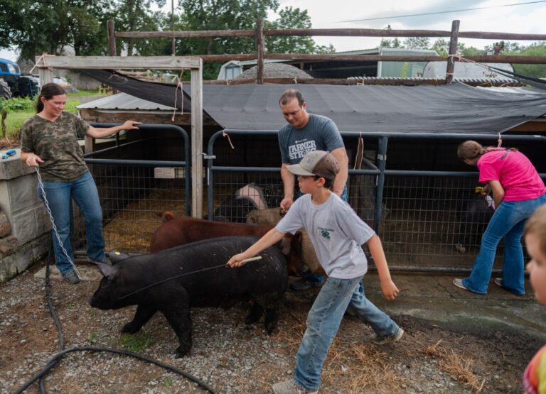 schuylkill-county-fair-sparks-excitement-at-evergreen-acres-farm