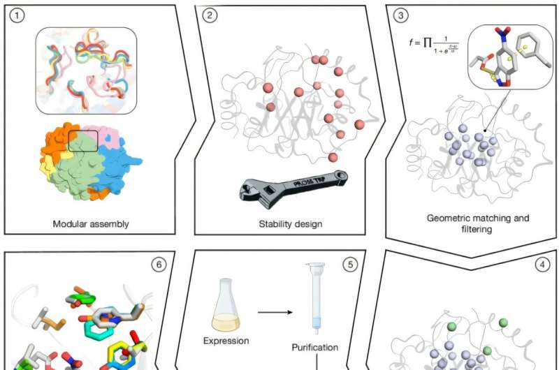scientists-develop-stable-enzymes-with-unmatched-catalytic-efficiency