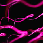 seminal-plasma-hypersensitivity-an-underdiagnosed-allergy-affecting-both-genders