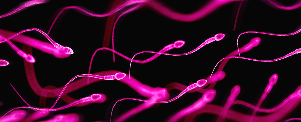 seminal-plasma-hypersensitivity-an-underdiagnosed-allergy-affecting-both-genders