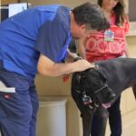 therapy-dogs-bring-joy-to-patients-at-st-agnes-medical-center