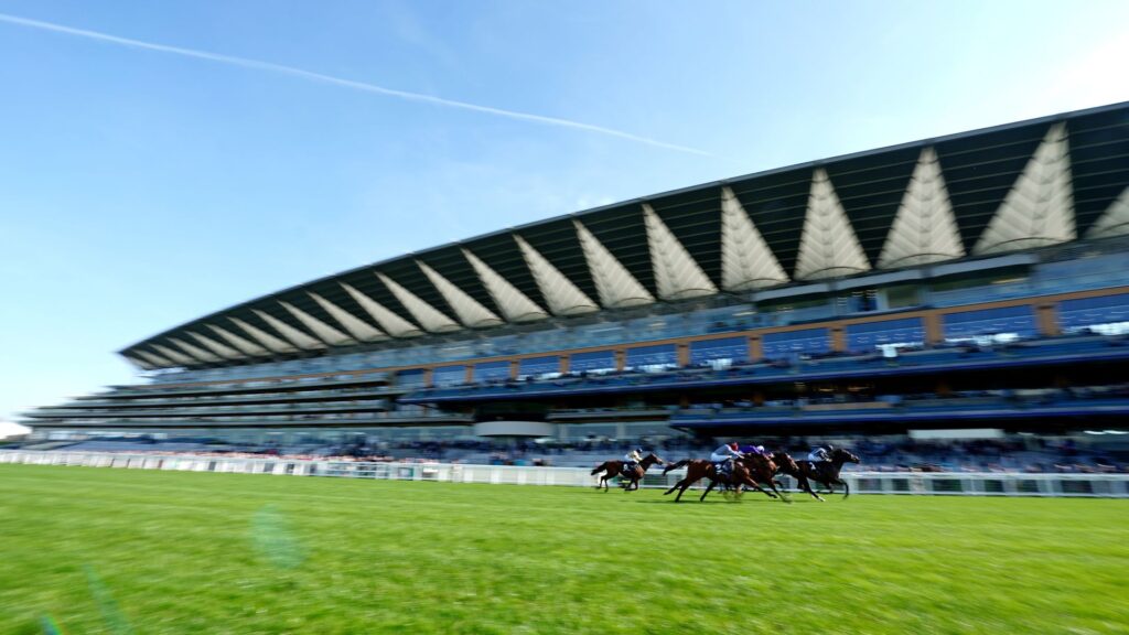 unbeaten-horses-clash-in-thrilling-ascot-showdown